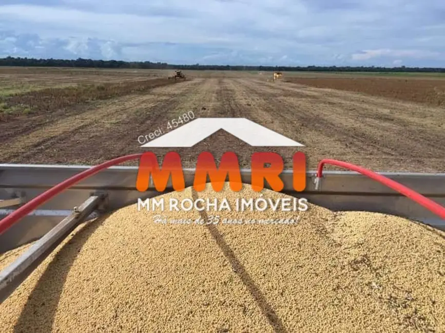 Foto 9 de Fazenda / Haras à venda, 44000m2 em Santana Do Araguaia - PA