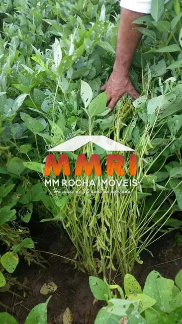 Foto 4 de Fazenda / Haras à venda, 44000m2 em Santana Do Araguaia - PA