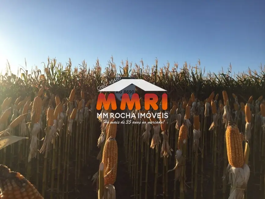 Foto 6 de Fazenda / Haras à venda, 44000m2 em Santana Do Araguaia - PA