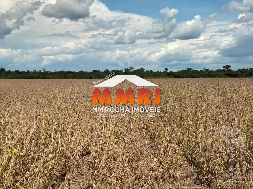 Foto 1 de Fazenda / Haras à venda, 44000m2 em Santana Do Araguaia - PA