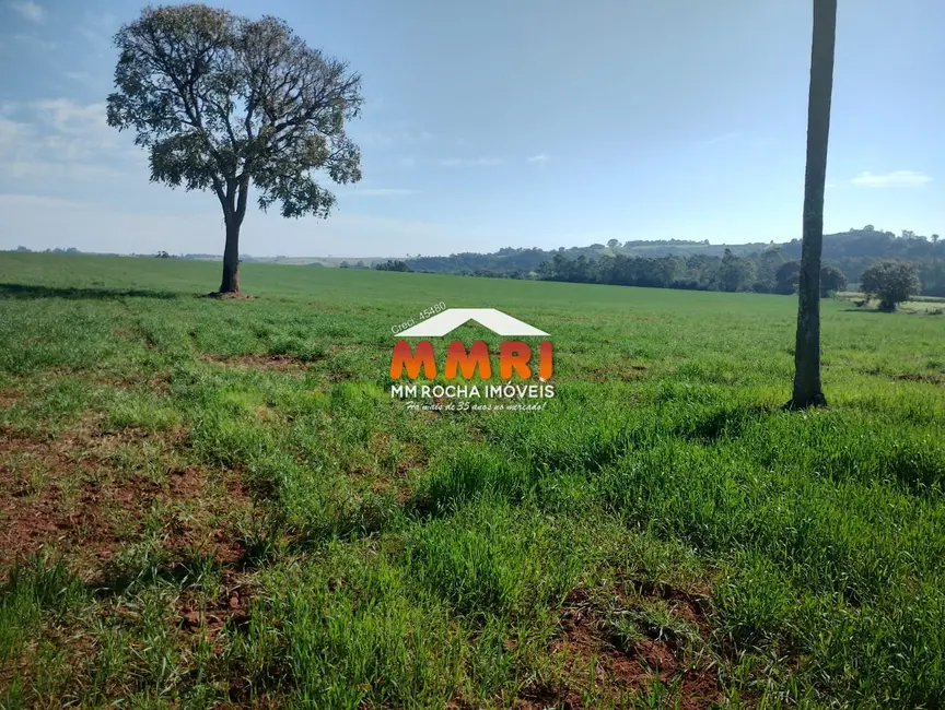Foto 3 de Sítio / Rancho à venda em Capela Do Alto - SP