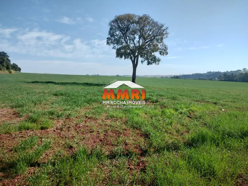 Foto 4 de Sítio / Rancho à venda em Capela Do Alto - SP
