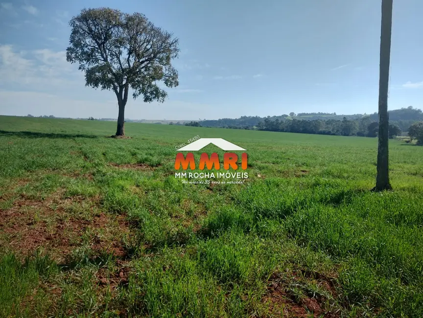 Foto 5 de Sítio / Rancho à venda em Capela Do Alto - SP