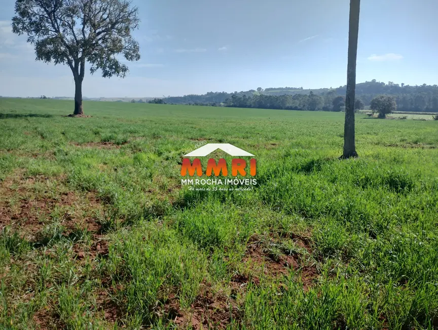 Foto 6 de Sítio / Rancho à venda em Capela Do Alto - SP