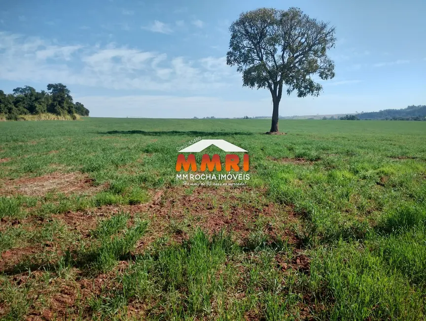 Foto 1 de Sítio / Rancho à venda em Capela Do Alto - SP