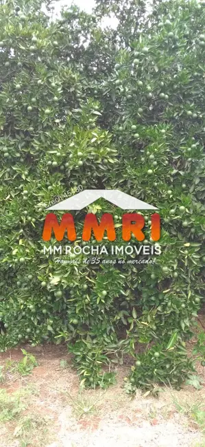 Foto 4 de Fazenda / Haras à venda, 953m2 em Área Rural de Avaré, Avare - SP