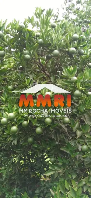 Foto 7 de Fazenda / Haras à venda, 953m2 em Área Rural de Avaré, Avare - SP