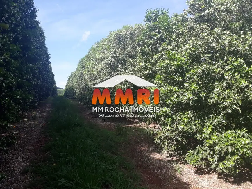 Foto 9 de Fazenda / Haras à venda, 953m2 em Área Rural de Avaré, Avare - SP