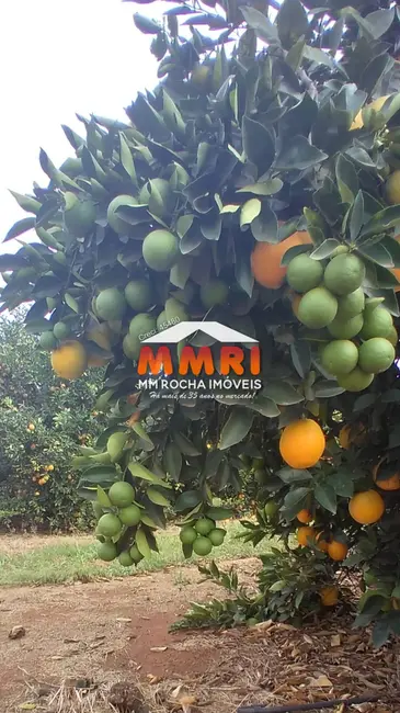 Foto 8 de Fazenda / Haras à venda, 953m2 em Área Rural de Avaré, Avare - SP