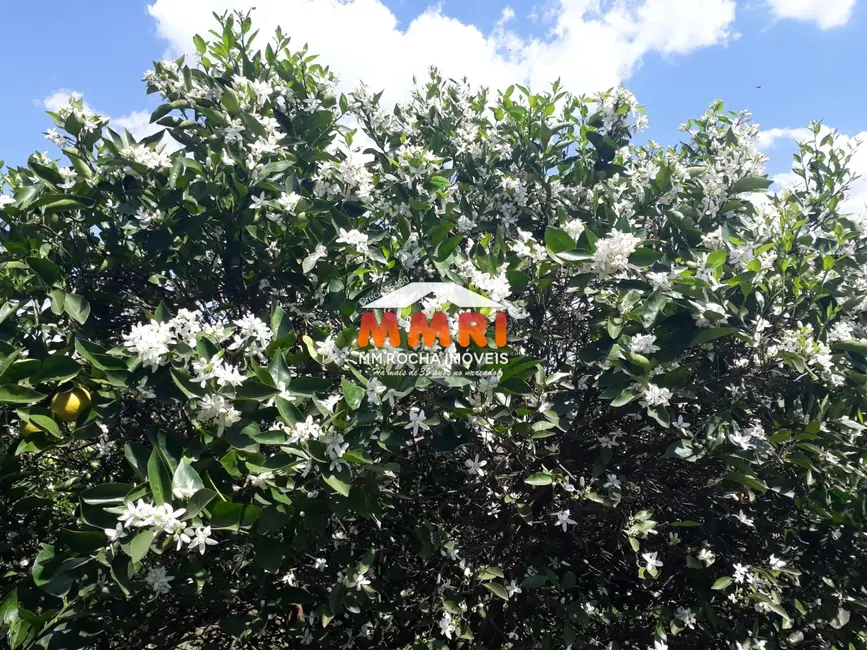 Foto 6 de Fazenda / Haras à venda, 953m2 em Área Rural de Avaré, Avare - SP