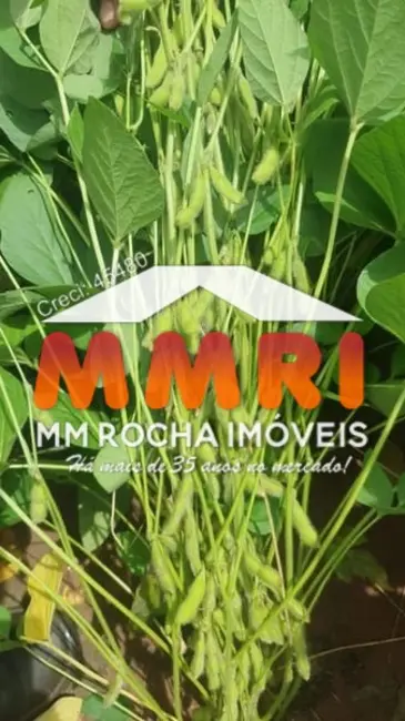 Foto 3 de Fazenda / Haras à venda, 5614m2 em Jussara - GO