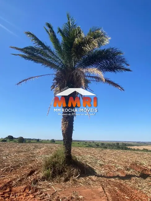 Foto 4 de Fazenda / Haras à venda, 1291m2 em Sud Mennucci - SP