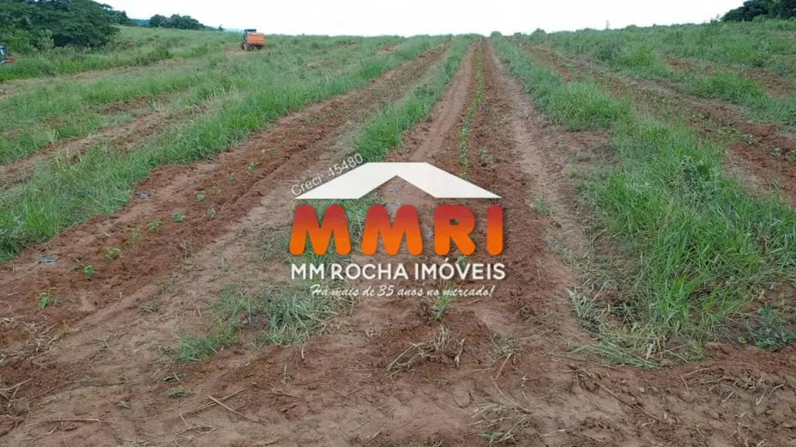 Foto 4 de Fazenda / Haras à venda, 239m2 em Luminarias - MG