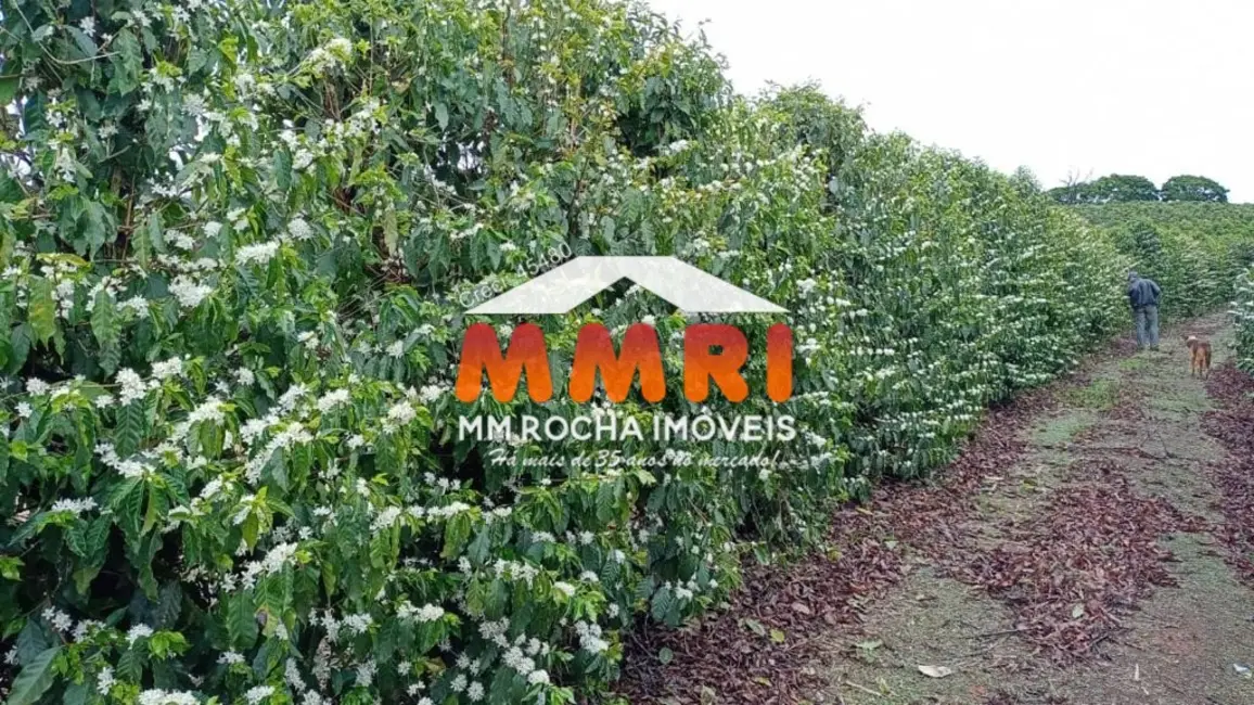 Foto 7 de Fazenda / Haras à venda, 239m2 em Luminarias - MG