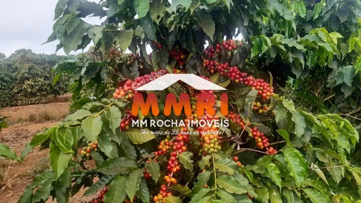 Foto 9 de Fazenda / Haras à venda, 239m2 em Luminarias - MG