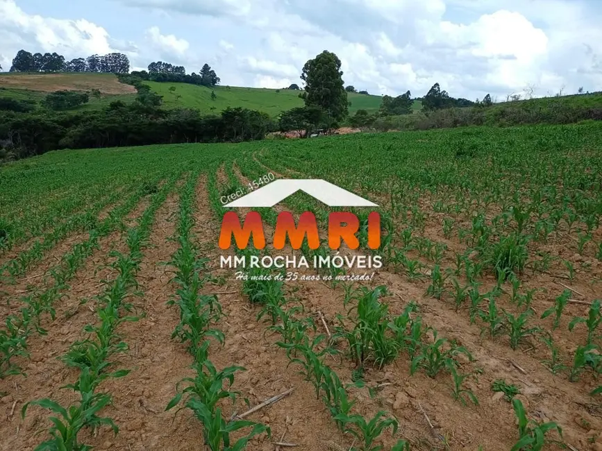 Foto 8 de Fazenda / Haras à venda, 239m2 em Luminarias - MG