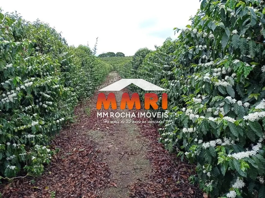 Foto 1 de Fazenda / Haras à venda, 239m2 em Luminarias - MG