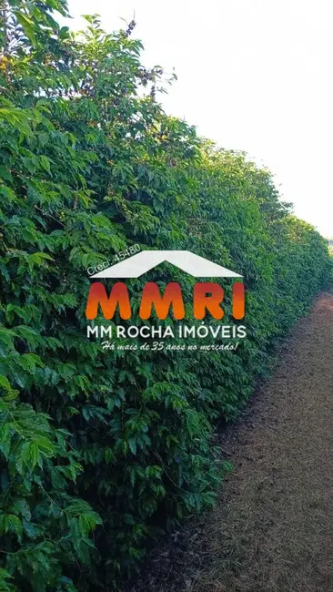 Foto 2 de Fazenda / Haras à venda, 239m2 em Luminarias - MG