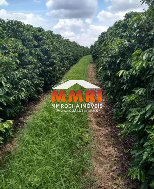 Foto 5 de Fazenda / Haras à venda, 239m2 em Luminarias - MG