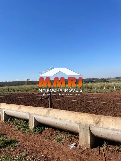Foto 7 de Fazenda / Haras à venda, 513m2 em Santa Fe Do Sul - SP