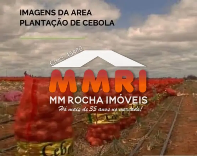 Foto 3 de Fazenda / Haras à venda, 438000m2 em Barra Do Choca - BA