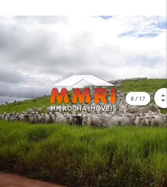 Foto 8 de Fazenda / Haras à venda, 149000m2 em Rondolandia - MT