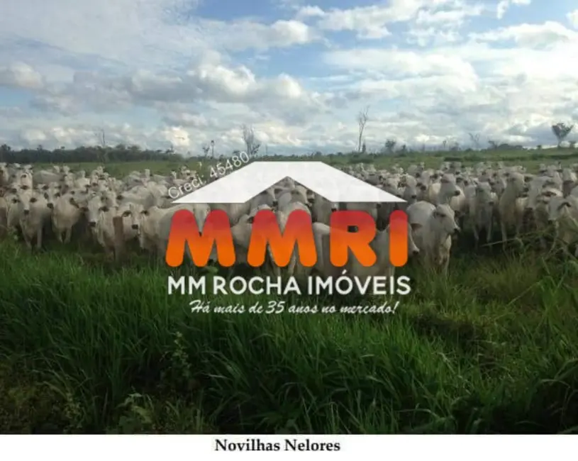 Foto 7 de Fazenda / Haras à venda, 149000m2 em Rondolandia - MT