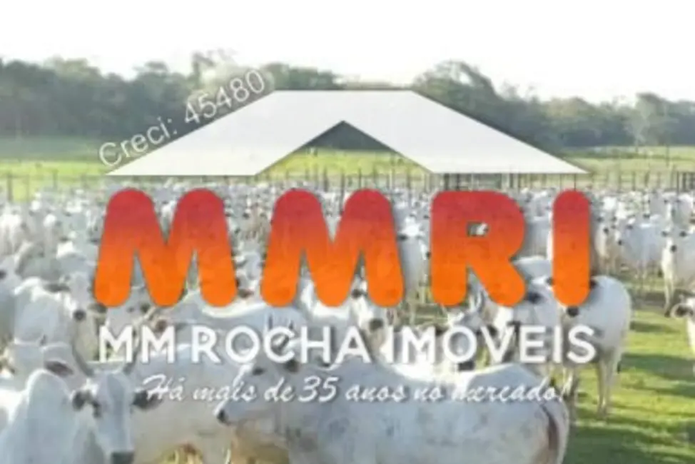 Foto 1 de Fazenda / Haras à venda, 149000m2 em Rondolandia - MT