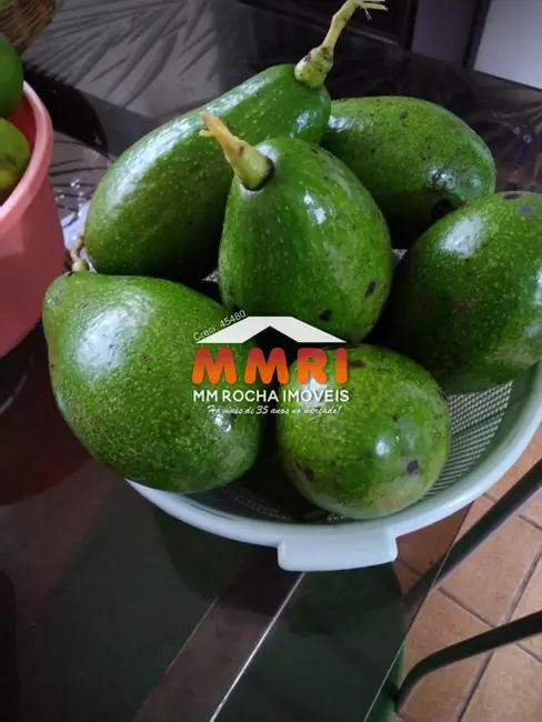 Foto 7 de Chácara com 3 quartos à venda, 200m2 em Aracoiaba Da Serra - SP