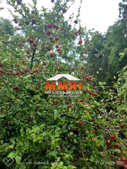 Foto 8 de Chácara com 3 quartos à venda, 200m2 em Aracoiaba Da Serra - SP