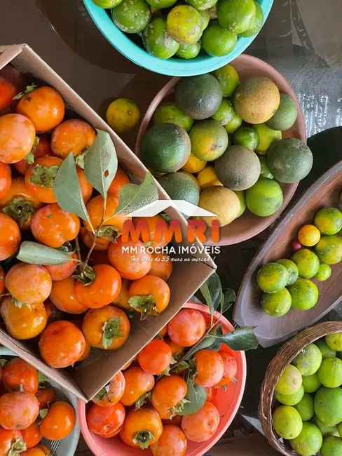 Foto 6 de Chácara com 3 quartos à venda, 200m2 em Aracoiaba Da Serra - SP