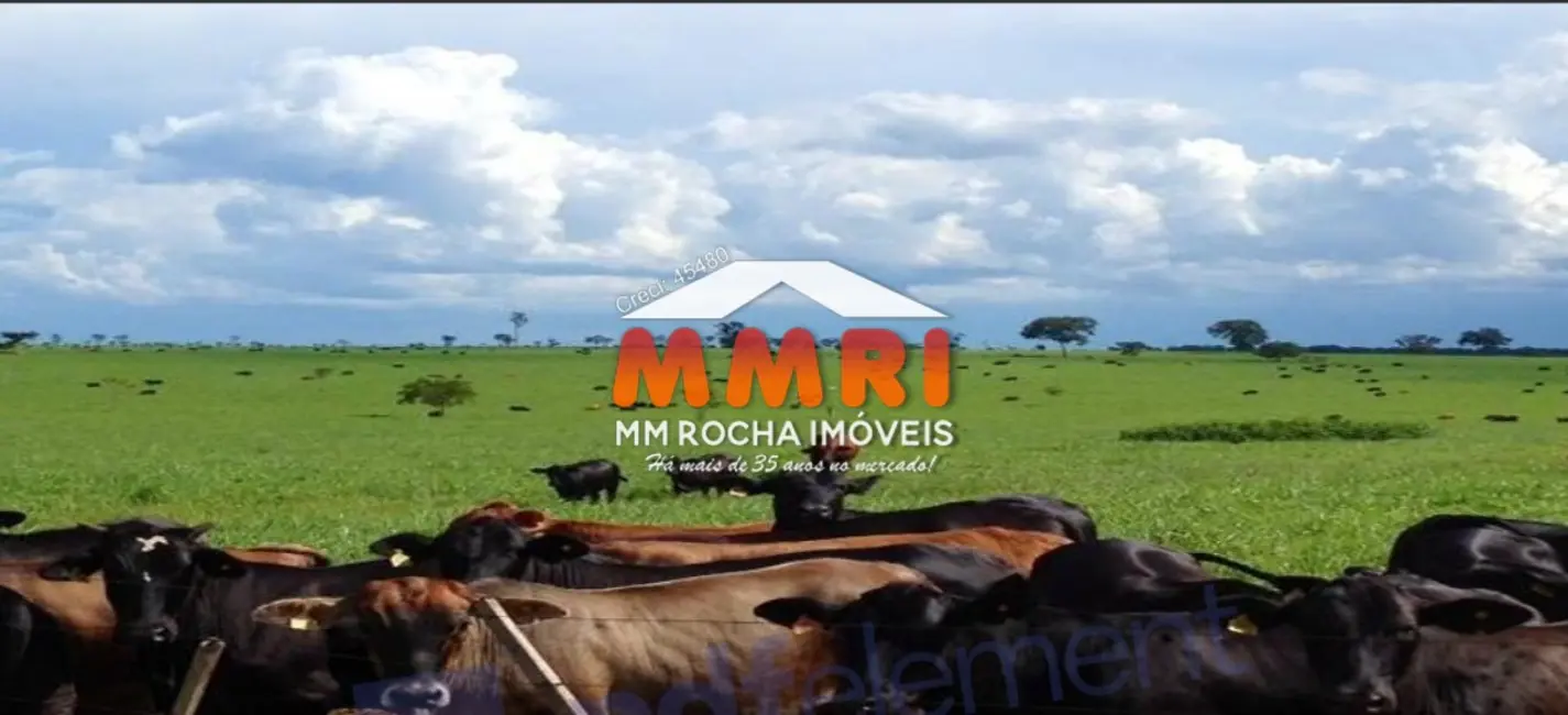 Foto 12 de Fazenda / Haras à venda em Parque Cuiabá, Cuiaba - MT