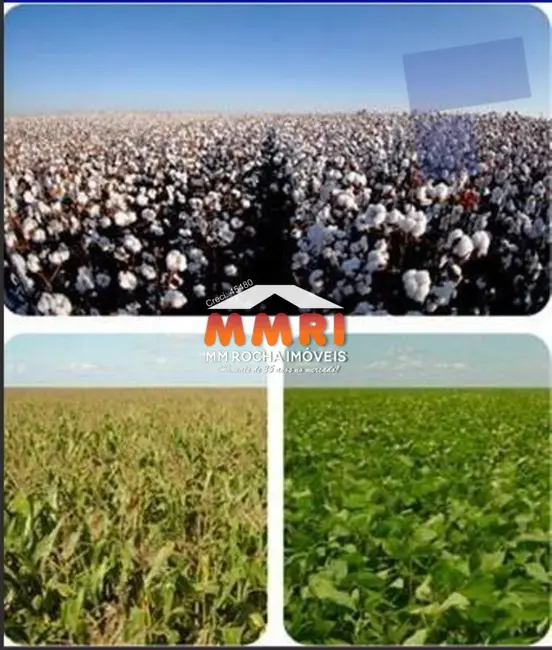 Foto 13 de Fazenda / Haras à venda em Parque Cuiabá, Cuiaba - MT