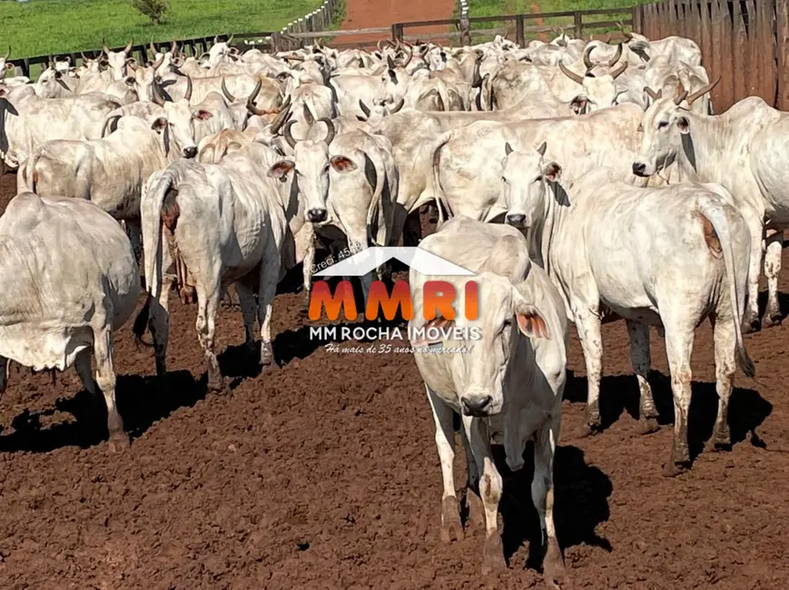 Fazenda / Haras à venda, 10200000m2 em Parque Cuiabá, Cuiaba - MT - imagem 6 Foto 6 de Fazenda / Haras à venda, 10200000m2 em Parque Cuiabá, Cuiaba - MT