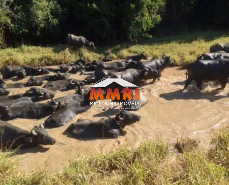 Foto 2 de Fazenda / Haras à venda em Santana Do Itarare - PR