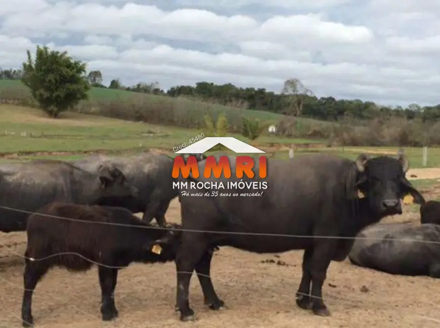 Foto 3 de Fazenda / Haras à venda em Santana Do Itarare - PR