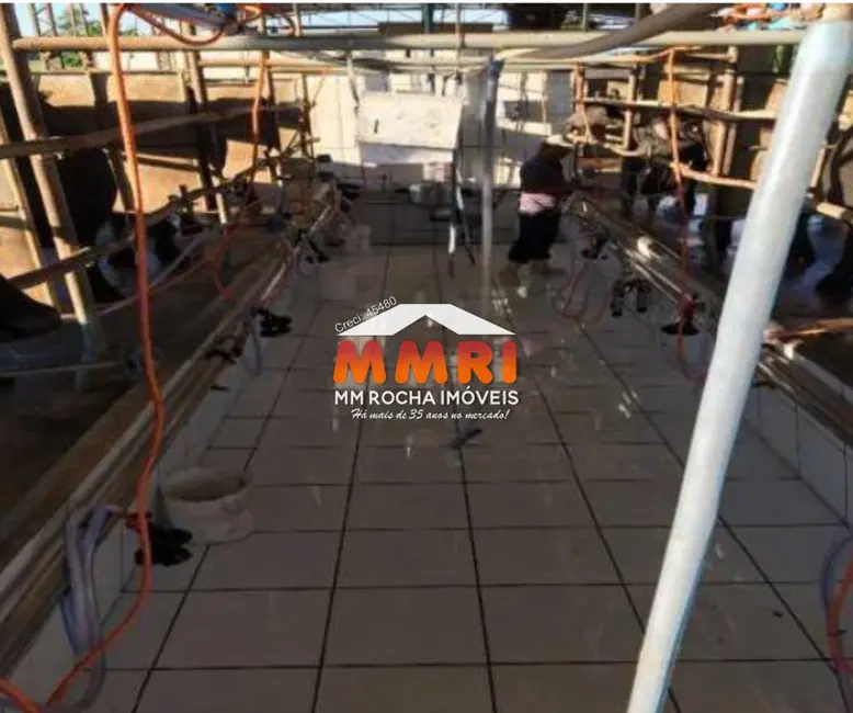 Foto 4 de Fazenda / Haras à venda em Santana Do Itarare - PR