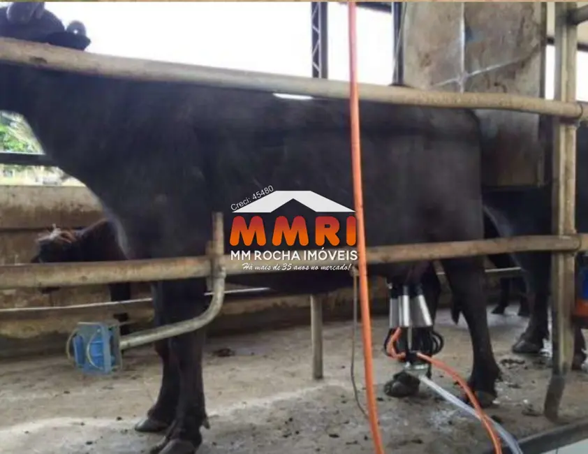 Foto 9 de Fazenda / Haras à venda em Santana Do Itarare - PR