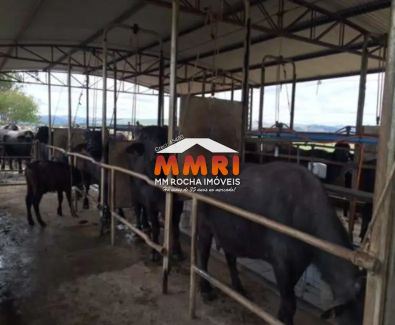 Foto 6 de Fazenda / Haras à venda em Santana Do Itarare - PR