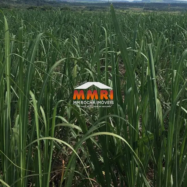 Foto 6 de Fazenda / Haras à venda em Centro, Presidente Prudente - SP