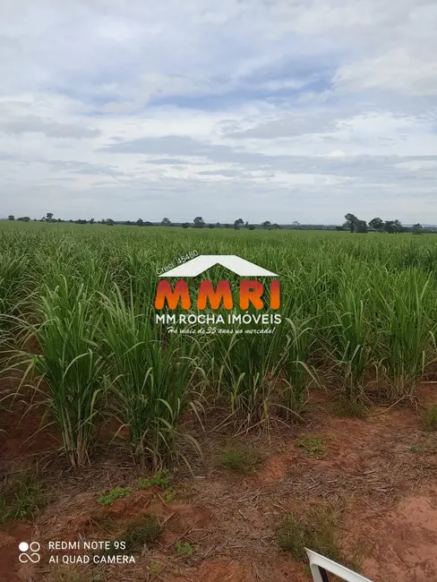 Foto 7 de Fazenda / Haras com 1 quarto à venda, 475m2 em Cidade Miguel Badra, Suzano - SP