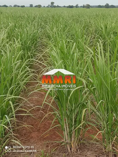 Foto 6 de Fazenda / Haras com 1 quarto à venda, 475m2 em Cidade Miguel Badra, Suzano - SP