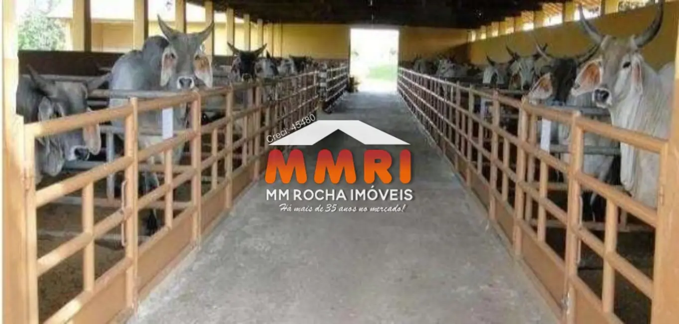 Fazenda / Haras com 1 quarto à venda, 163m2 em Jardim Eulina, Campinas - SP - imagem 5 Foto 5 de Fazenda / Haras com 1 quarto à venda, 163m2 em Jardim Eulina, Campinas - SP