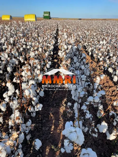 Foto 9 de Fazenda / Haras com 1 quarto à venda em Santo Antonio Do Leste - MT