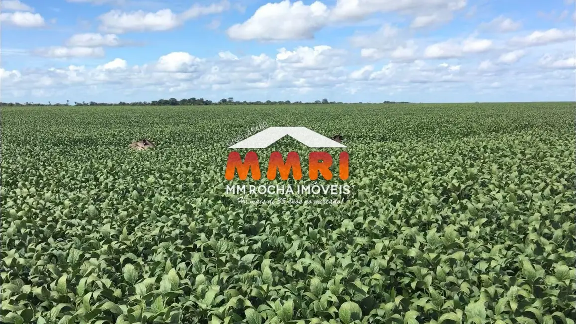 Fazenda / Haras com 1 quarto à venda em Residencial Jardim Araguaia, Sinop - MT - imagem 8 Foto 8 de Fazenda / Haras com 1 quarto à venda em Residencial Jardim Araguaia, Sinop - MT