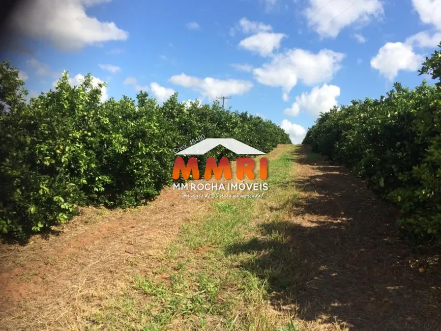 Foto 2 de Fazenda / Haras com 1 quarto à venda em Centro, Marilia - SP