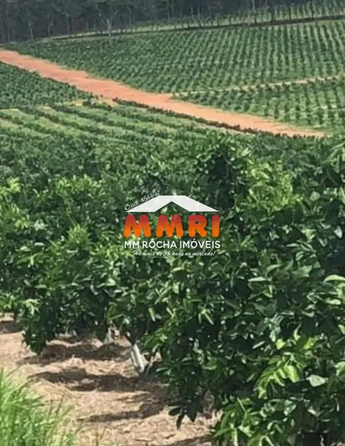 Foto 8 de Fazenda / Haras com 1 quarto à venda em Centro, Marilia - SP