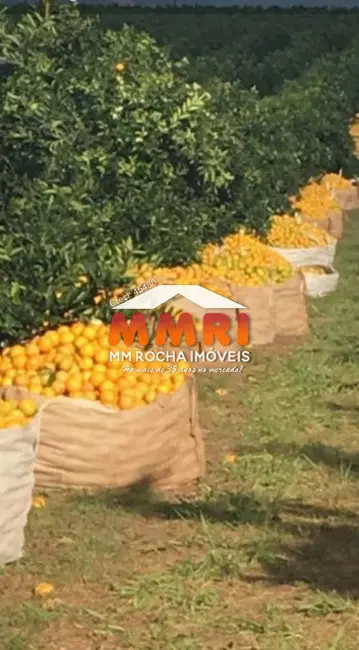 Foto 9 de Fazenda / Haras com 1 quarto à venda em Centro, Marilia - SP