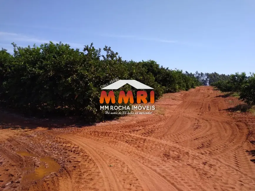 Foto 6 de Fazenda / Haras com 1 quarto à venda em Centro, Marilia - SP