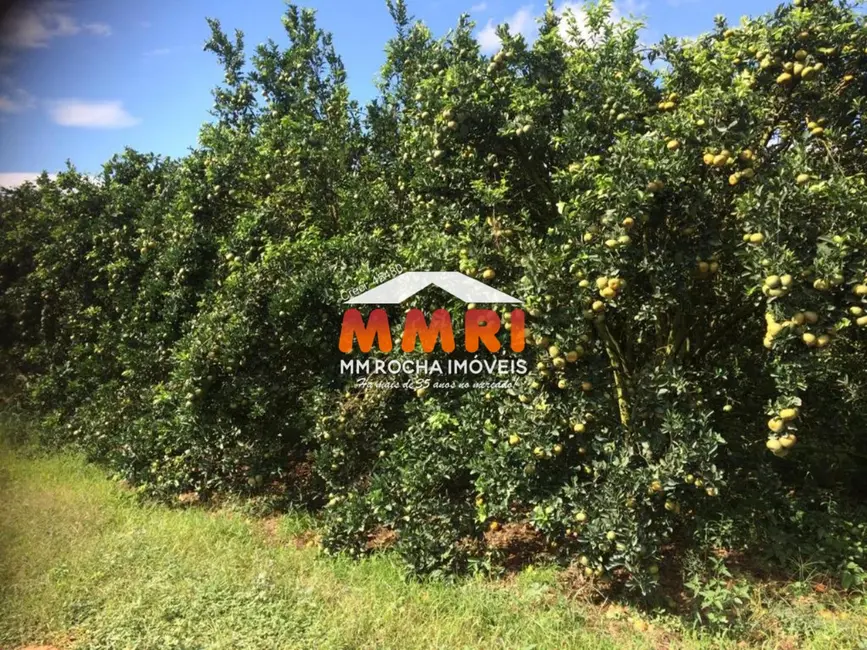 Foto 7 de Fazenda / Haras com 1 quarto à venda em Centro, Marilia - SP